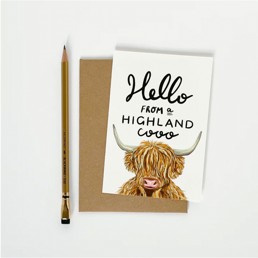 Hello from a Highland Coo