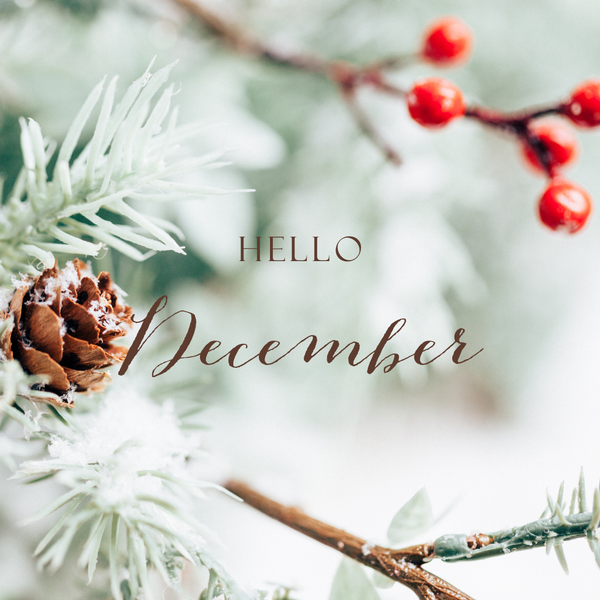2025 WGLY Yarn Club - December