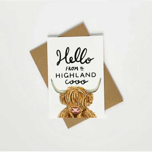 Hello from a Highland Coo